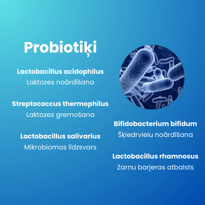 Tauku dedzināšana un enerģija